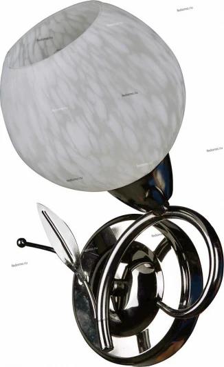 036/1A Myone 036 036/1A