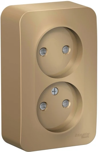 BLNRA001214 Розетка накладная двойная без заземления со шторками (титан) Systeme Electric Blanca BLNRA001214