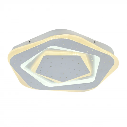 2281-5C Потолочный светильник F-Promo Ledolution 2281-5C