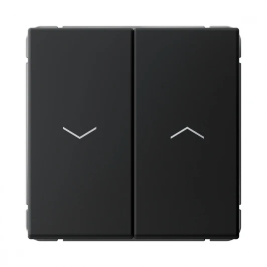 GAL001019 Выключатель жалюзи двухклавишный (карбон) Systeme Electric GAL001019
