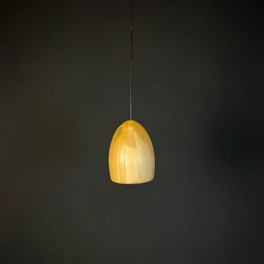 40.156 Подвесной светильник Large Oak D13 Imperiumloft 40,156 (213680-22) (LED, 220V, на проводе)