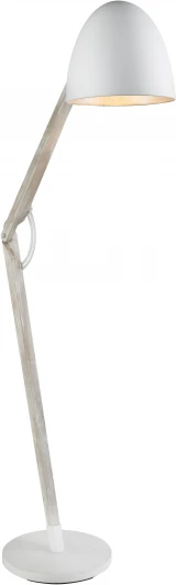 58294 Торшер Globo Gaua 58294