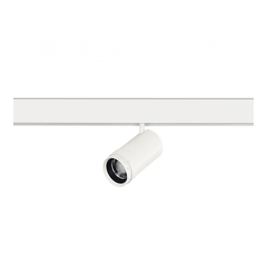 ST357.536.20 Магнитный трековый светильник ST Luce Skyline 48 ST357.536.20 ZOOM Белый LED 1*20W 48V (круглые)