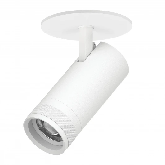 C4206RS Спот встраиваемый 20W 1400LM 20-55G с адаптером Lightstar Canno Pro C4206RS