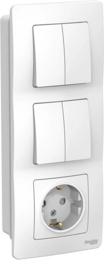 BLNBS102201 Розетка встраиваемая с заземлением с двумя двухклавишными выключателями (белый) Systeme Electric Blanca BLNBS102201