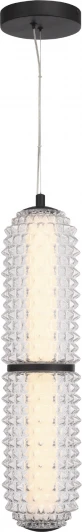SL6144.403.01 Подвесной светильник ST Luce Saguaro SL6144.403.01 черный/прозрачный LED 1*22W 4000K (220V, на тросе)