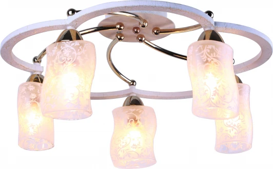 A6166PL-5WG Потолочная люстра Arte Lamp Carlo A6166PL-5WG