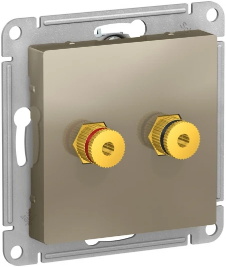 ATN000587 Акустическая розетка встраиваемая двойная (шампань) Systeme Electric AtlasDesign ATN000587
