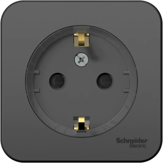 BLNRA111116 Розетка накладная с заземлением и шторками (антрацит) Systeme Electric Blanca BLNRA111116