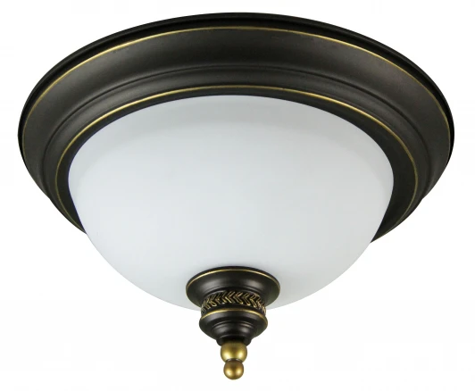A9518PL-2BA Потолочный светильник Arte Lamp Bonito A9518PL-2BA