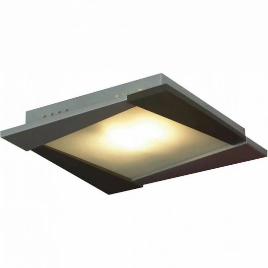LSQ-8002-01 Настенно-потолочный светильник Lussole Cefone LSQ-8002-01