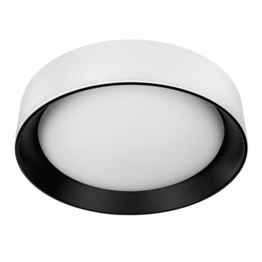 10202 WB Потолочный светильник светодиодные Loft It Coin 10202 WB