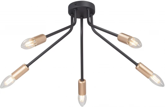 V3020-1/5PL Потолочная люстра V3020-1/5PL Vitaluce