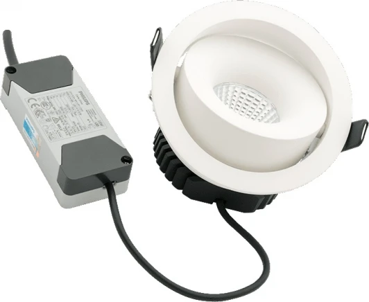 DL-FS-1006-60-W-12-WW Встроенный точечный светильник светодиодный SWG COMBO DL-FS-1006-60-W-12-WW