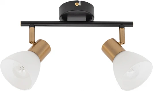 A3117PL-2BK Спот на штанге Arte Lamp Falena A3117PL-2BK (220V)