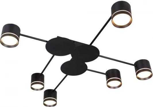 A8024PL-6BK Потолочная люстра Arte Lamp Legacy A8024PL-6BK (220V)