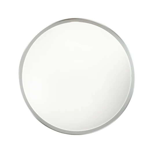 4626/48CL Потолочный светильник Odeon Light Selena 4626/48CL