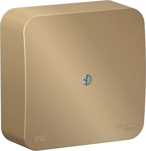 BLNRK000014 Распределительная коробка (титан) IP42 Systeme Electric Blanca BLNRK000014