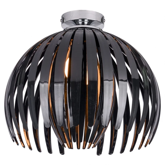 LSP-9536 Потолочная люстра Lussole Lgo Hockessin LSP-9536