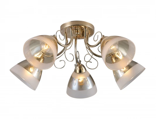 52546 2 Потолочная люстра Ritter Modena 52546 2