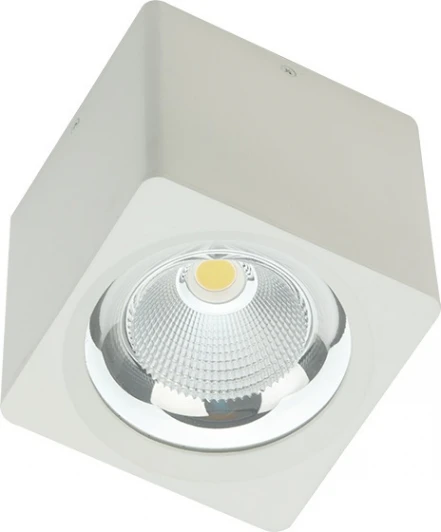 12120103 Точечный накладной светодиодный светильник CH-SD220-1(W) Fiberli Ch-Sd 12120103