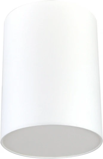 LH022018 Потолочный светильник круглый Lighthall Camerona 30 LH022018 (круглые)