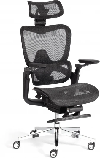 24859 Кресло Sakura Tetchair (Сетка/Черный) арт.24859