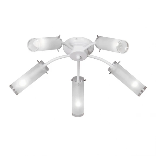 V3863/5PL Потолочная люстра Vitaluce V3863/5PL