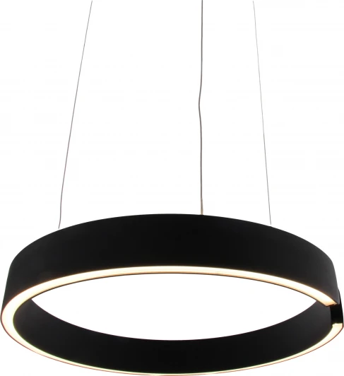 MZ31371-600B Подвесной светильник светодиодный с регулировкой цветовой температуры и яркости Mizi'en Leo MZ31371-600B (220V, на тросе, кольцо)