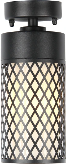 3019-1P Потолочный светильник уличный Favourite Barrel 3019-1P