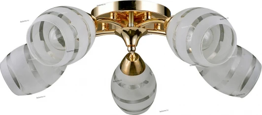 101/5PL Myone 101 101/5PL