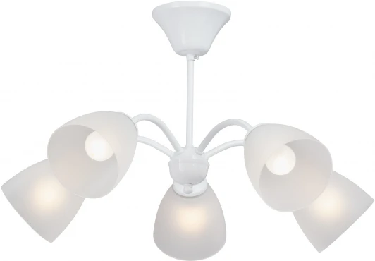 V3929-0/5PL Потолочная люстра на штанге Vitaluce V3929-0/5PL, 5xE27 макс. 40Вт