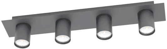 99515 Потолочный светильник Valcasotto 99515