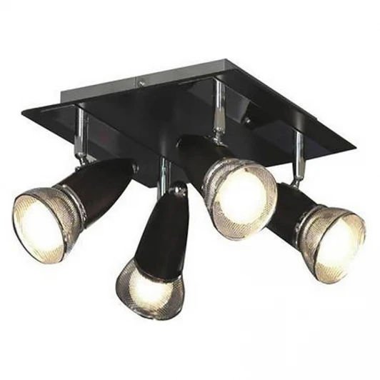 LSL-8001-04 Потолочный светильник Lussole Furnari LSL-8001-04