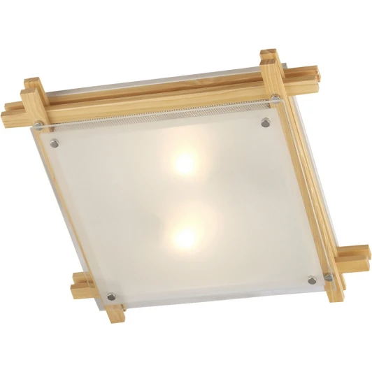 48323-2 Настенно-потолочный светильник Globo EDISON 48323-2