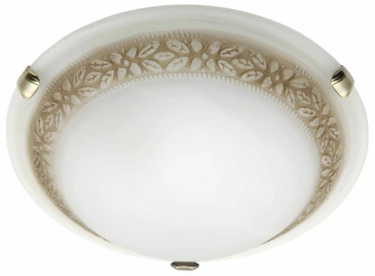 90166/20 Потолочный светильник Brilliant Toulouse 90166/20