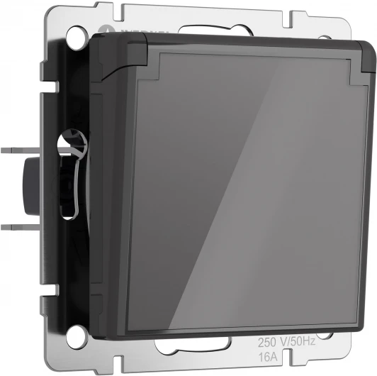 W1171244 Розетка с заземлением с защит. крышкой и шторками (графит акрил) Werkel W1171244 (a064092)