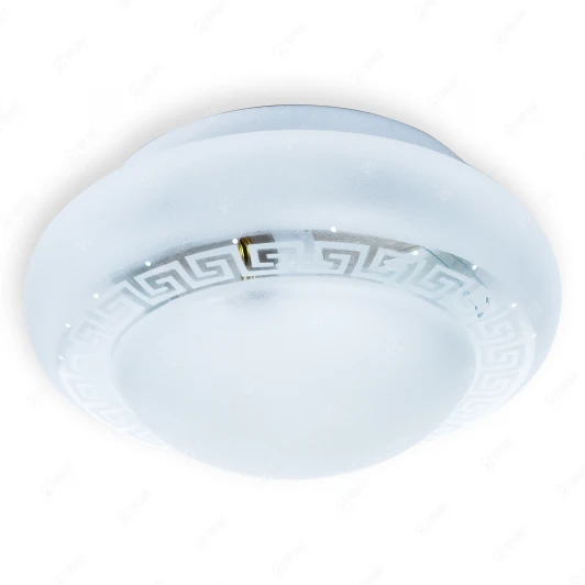TL9590Y-02WH Настенно-потолочный светильник Toplight Betty TL9590Y-02WH