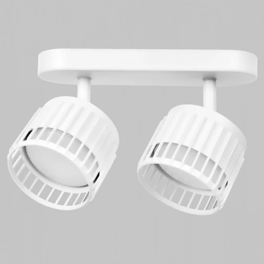 IL.0005.2301-2-WH Настенно-потолочный спот Imex Grido IL.0005.2301-2-WH