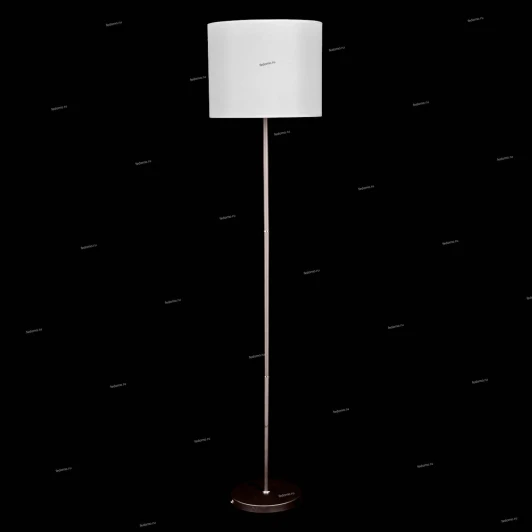 75005/1F ANTI GRAY Natali Kovaltseva 75005 75005/1F ANTI GRAY