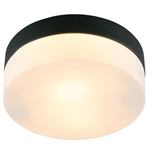 A6047PL-1BK Потолочный светильник круглый Arte Lamp Aqua-tablet A6047PL-1BK (220V, круглые, IP44)