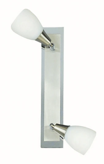 5450-2 Спот Globo FRANK 5450-2