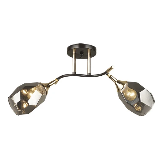 66554.01.15.02 Потолочная люстра Wedo Light Anione 66554.01.15.02