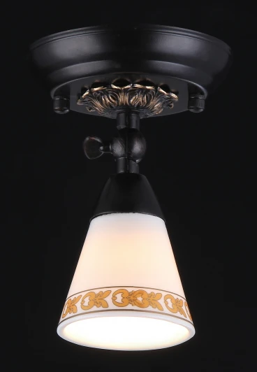 ECO001-01-R Спот Maytoni Spot 1 ECO001-01-R