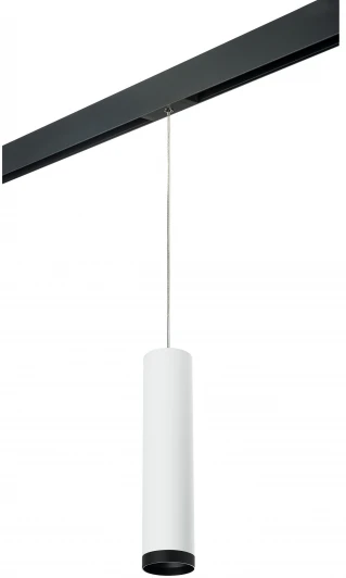 PRORP4963437 Трековый светильник однофазный 220V Lightstar Rullo PRORP4963437 (круглые)