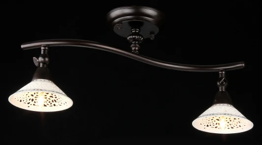 ECO002-02-R Спот Maytoni Spot 2 ECO002-02-R