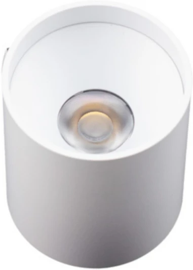 AM481 WH+WH 10W Точечный светильник AM Group AM481 WH+WH 10W