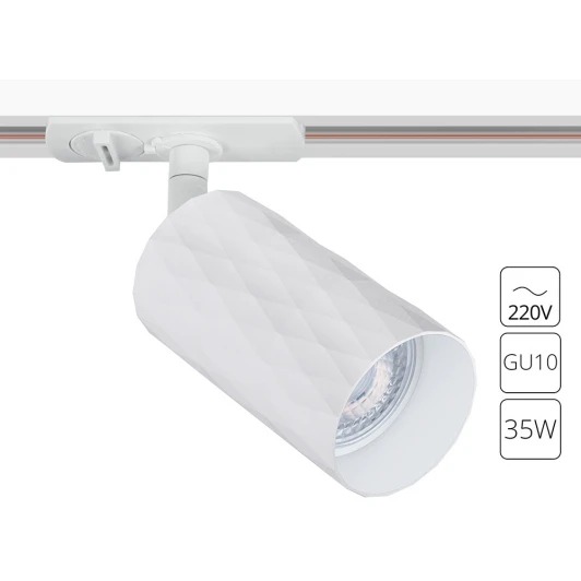 A5560PL-1WH Трековый светильник однофазный 220V Arte Lamp Fang A5560PL-1WH (круглые)
