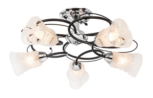 242.59.5 Потолочная люстра Silver Light Bibis 242.59.5