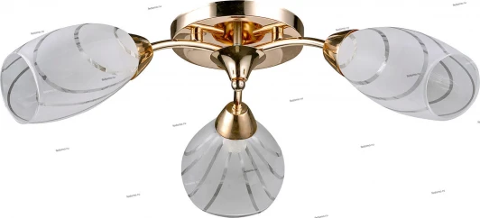 100/3PL Myone 100 100/3PL